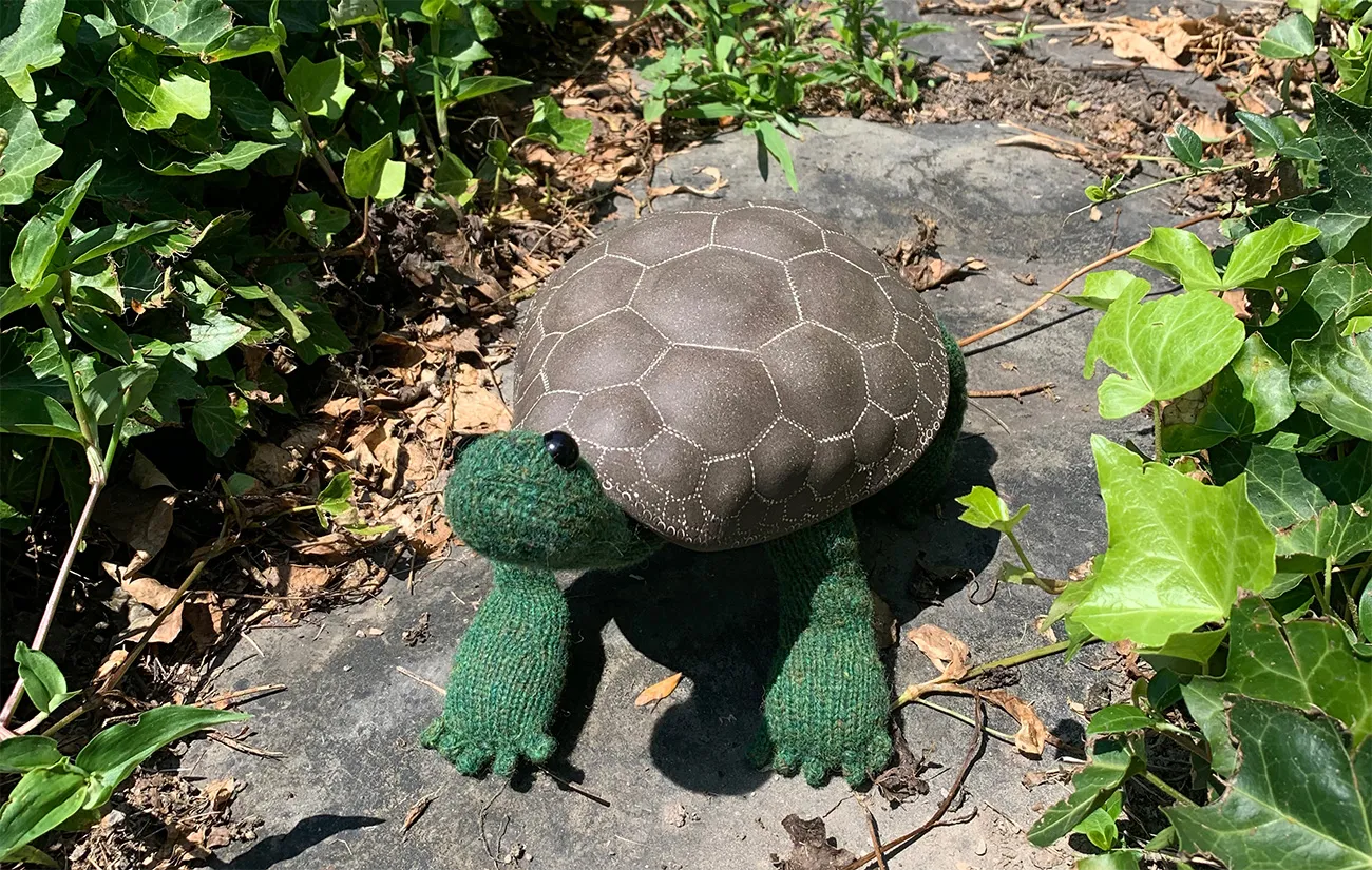 knitted tortoise